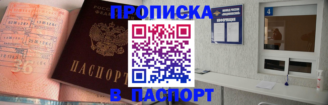 прописка поиск в Тольятти